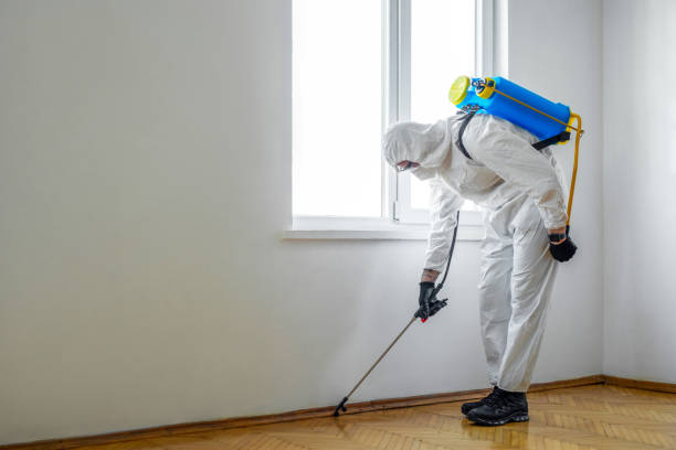 Real Estate Pest Inspections in Seco Mines, TX